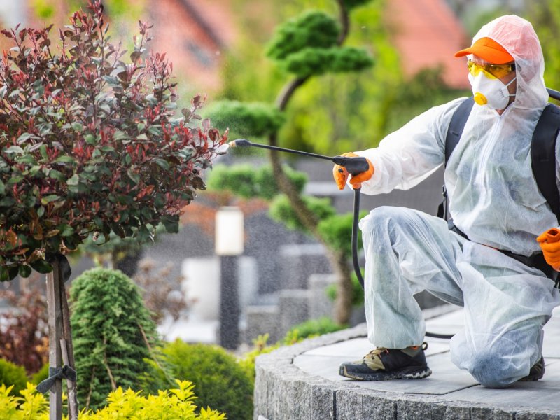 Biga Haşere İlaçlama